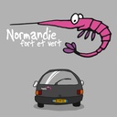 Adhésif Crev rose Peint.foncée