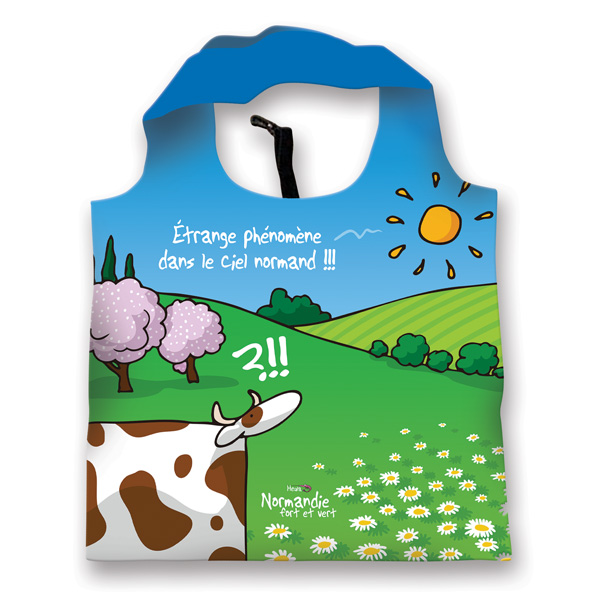 [229HE-08] Sac réutilisable pliable Phénomène